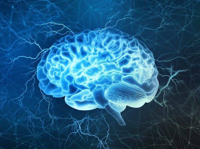 A Neurociência por Trás da Logística de Última Milha: Como Entender o Comportamento do Consumidor